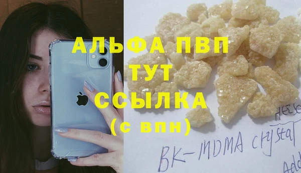 гидра Новодвинск