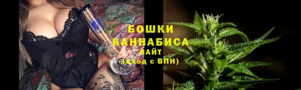 стаф Няндома