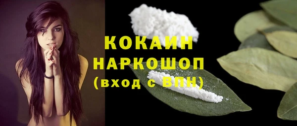 гидра Новодвинск