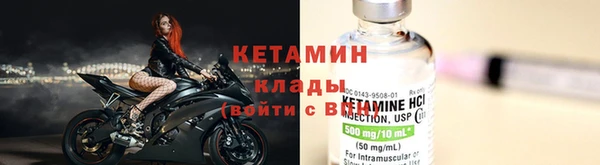 гидра Новодвинск