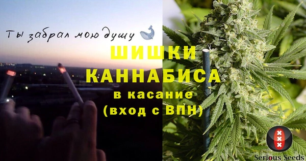 гидра Новодвинск