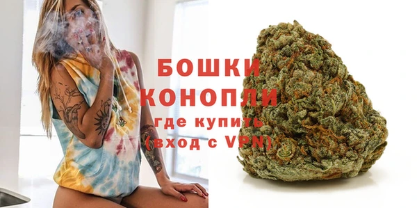 молекула духа Нягань