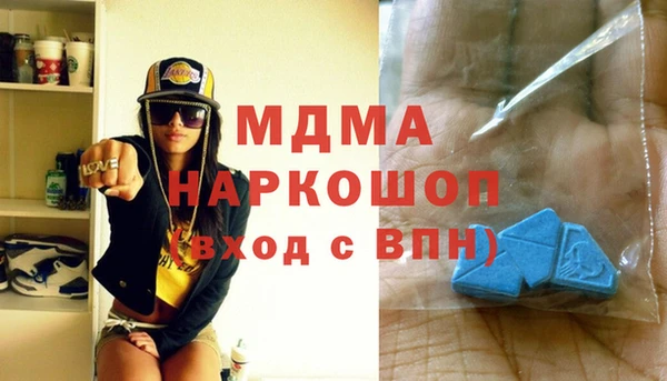 гидра Новодвинск